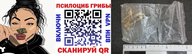 Псилоцибиновые грибы GOLDEN TEACHER  кракен как войти  Иланский  где продают наркотики 